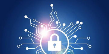 這個夏天，守護數字世界的六個安全小建議 | 聚焦網絡與信息安全軟件開發