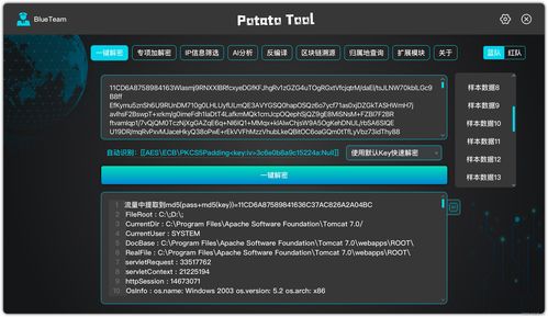 一鍵解密 網絡與信息安全軟件開發的新紀元
